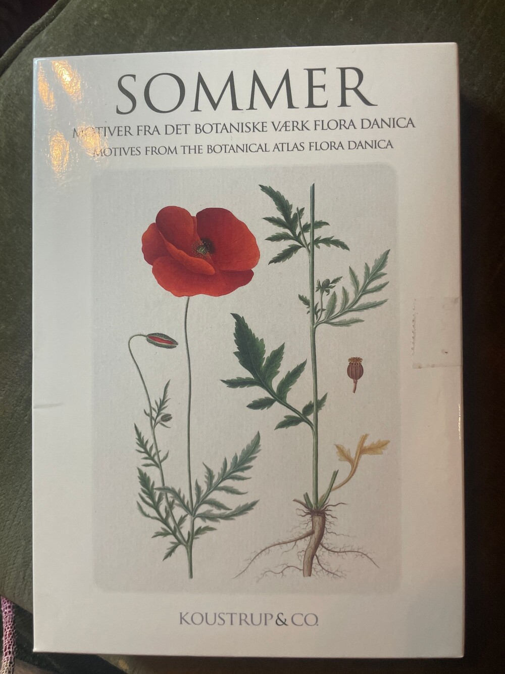 Koustrup & Co. Sommer Flora Danica Botanical Card Set 8 pcs